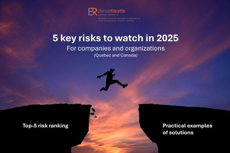 Article janvier 2025 (ang)